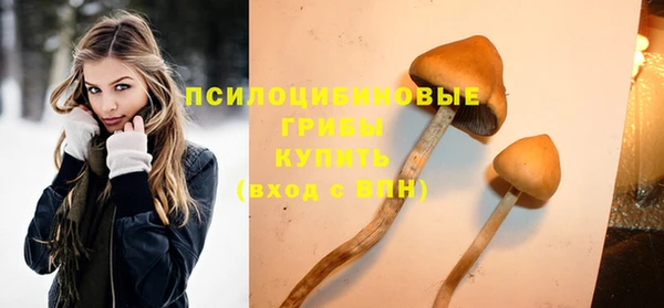 молекула духа Заволжье