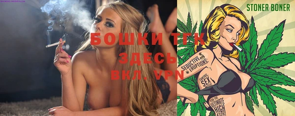 молекула духа Заволжье