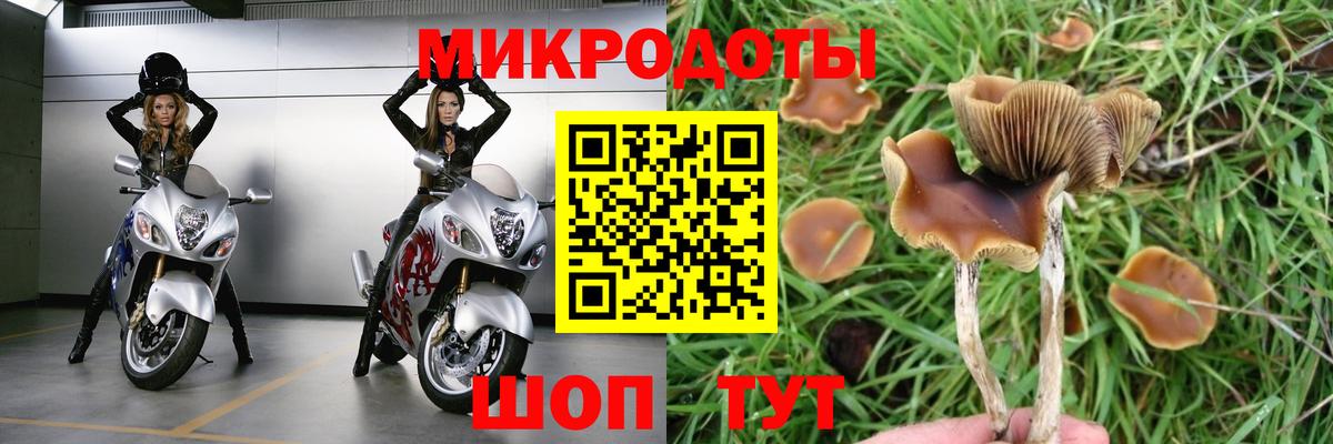 Галлюциногенные грибы ЛСД Спасск-Дальний