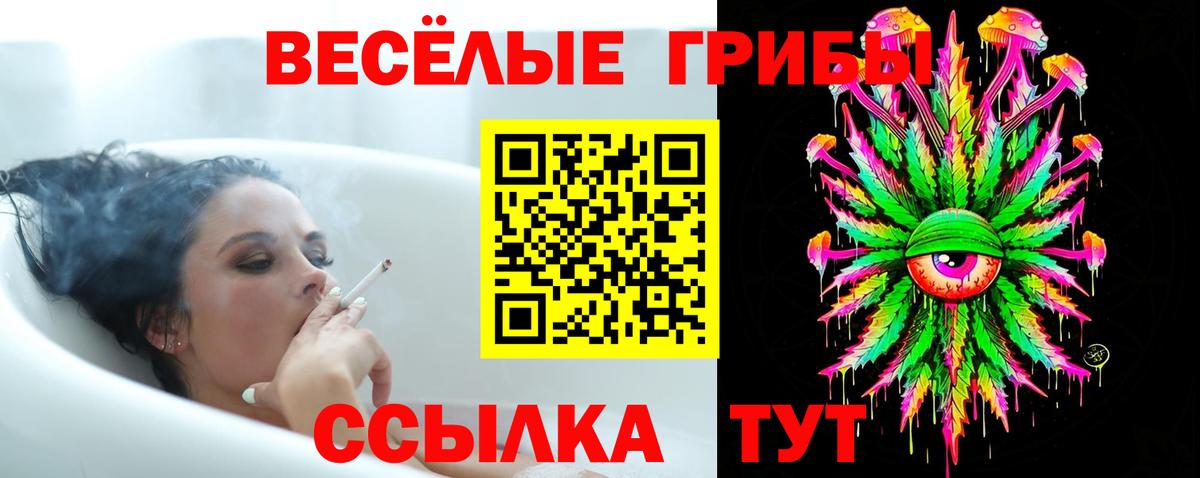 Галлюциногенные грибы прущие грибы  наркота  Спасск-Дальний  Псилоцибиновые грибы ЛСД  Вход с VPN 